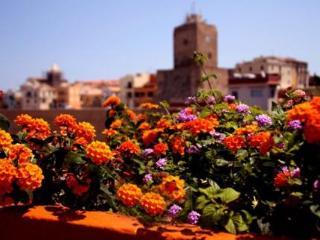 Vescovo Pitirro 3* Termoli